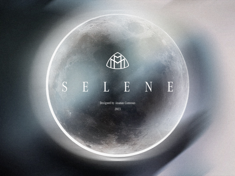 中国大佬设计的Maybach-SELENE